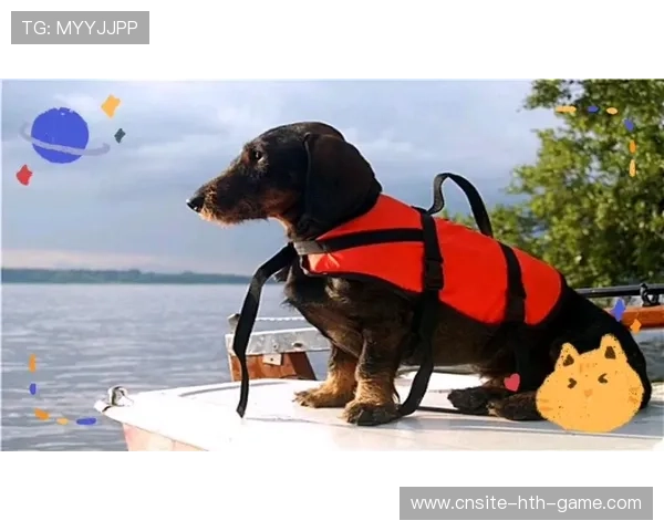 运动员的萌宠日常：赛场旁的最萌助威队长，给运动员助威的话语有哪些